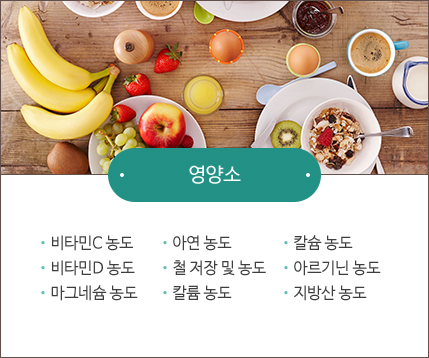 맞춤 영양제 처방