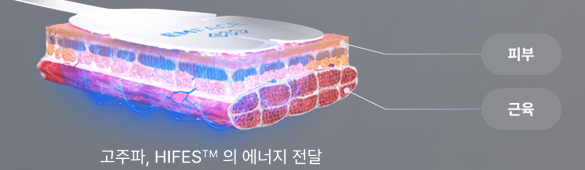 차이의원 엠페이스